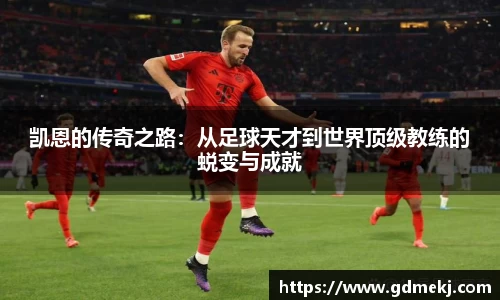 k1体育官方网站